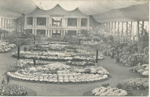 302.6 Royal Casino 1913